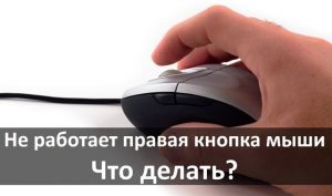 Apple mouse не работает правая кнопка