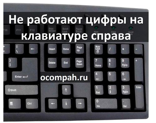 ne rabotayut cifry na klaviature sprava ocompah.ru 00